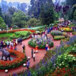 Ooty Flower Show 2024