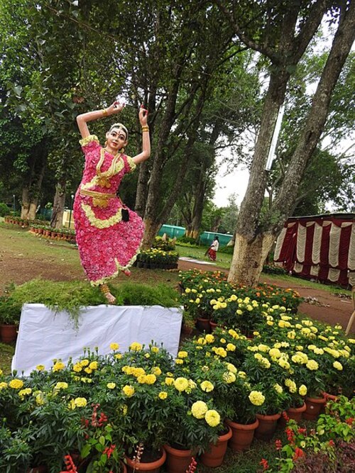 Yercaud Flower Show Dancer