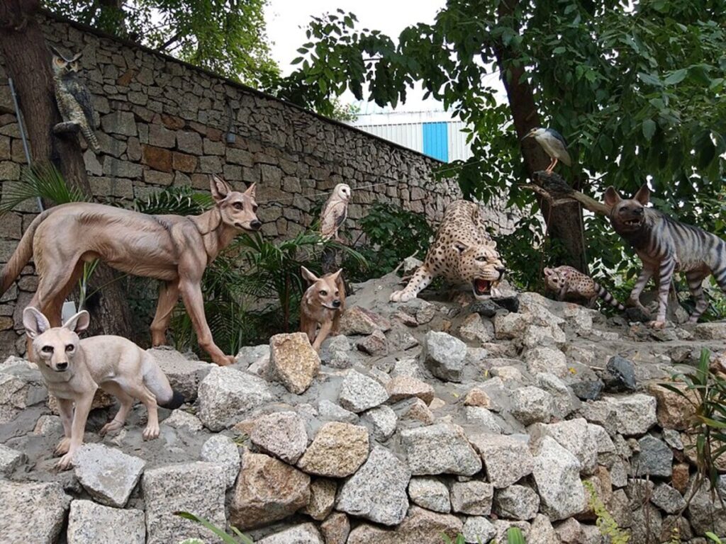 Kankaria Zoo in Ahmedabad