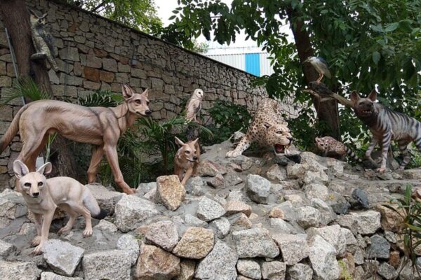 Kankaria Zoo in Ahmedabad