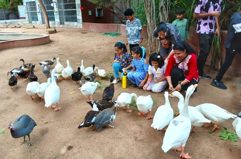 visitors feeding birds in Sundarvan