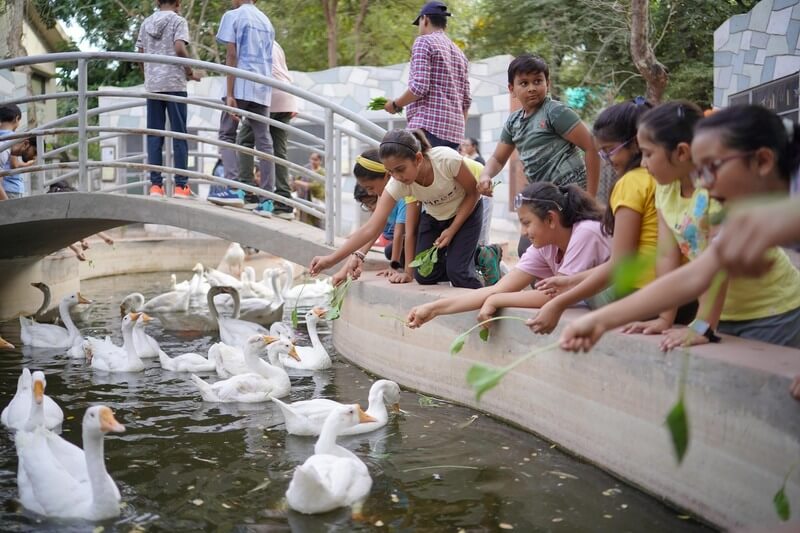 Birds swimming in water in Sundarvan